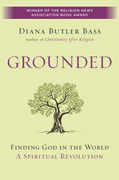 Cover for Diana Butler Bass · Grounded: Finding God In The World - A Spiritual Revolution (Pocketbok) (2017)