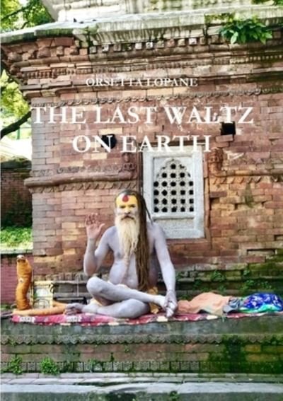 Cover for Orsetta Lopane · The Last Waltz On Earth (Paperback Book) (2020)