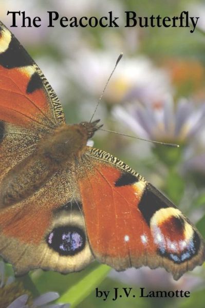 Cover for J V Lamotte · The Peacock Butterfly (Taschenbuch) (2013)