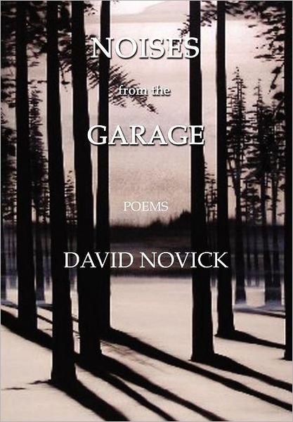 Cover for David Novick · Noises from the Garage (Innbunden bok) (2012)