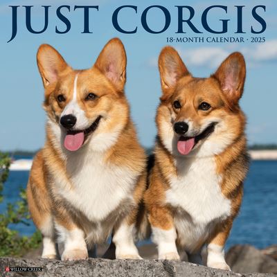 Just Corgis 2025 12 X 12 Wall Calendar - Willow Creek Press - Mercancía - Willow Creek Press Calendars - 9781549242564 - 10 de septiembre de 2024