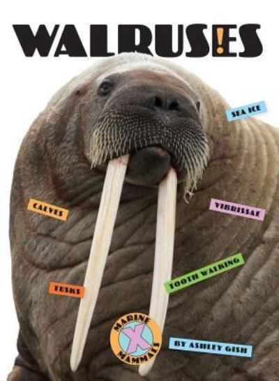 Cover for Ashley Gish · Walruses (Book) (2019)