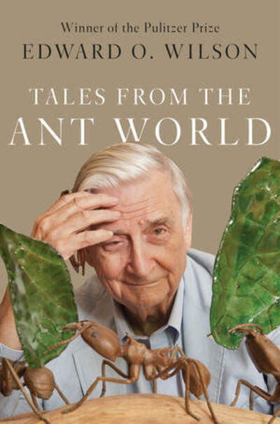 Cover for Edward O. Wilson · Tales from the Ant World (Hardcover Book) (2020)