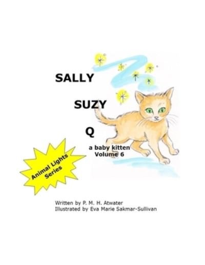 Sally Suzy Q - P M H Atwater - Books - Independently Published - 9781703752564 - October 29, 2019