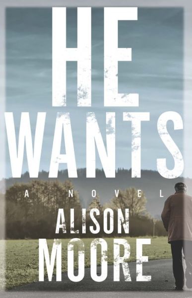 He Wants - Alison Moore - Bøger - Biblioasis - 9781771960564 - 15. marts 2016