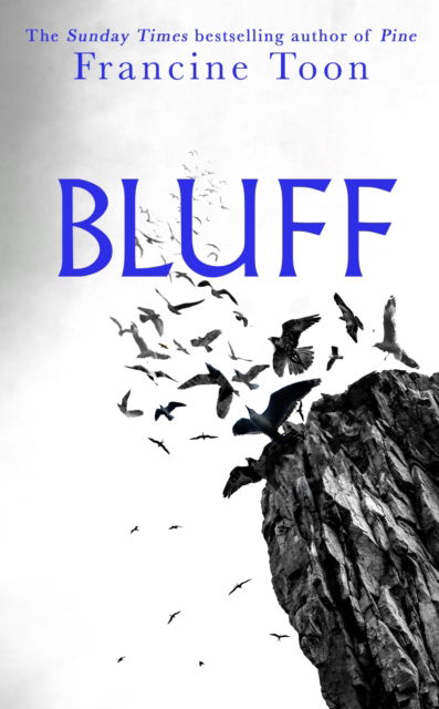 Cover for Francine Toon · Bluff (Paperback Bog) (2025)