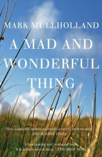 Cover for Mark Mulholland · A Mad and Wonderful Thing (Paperback Book) [New edition] (2016)