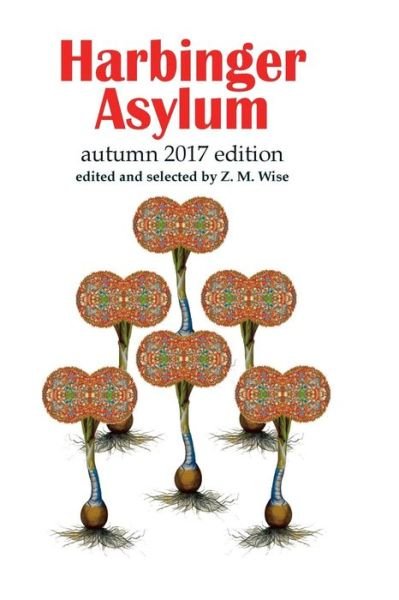 Cover for Z M Wise · Harbinger Asylum (Pocketbok) (2017)