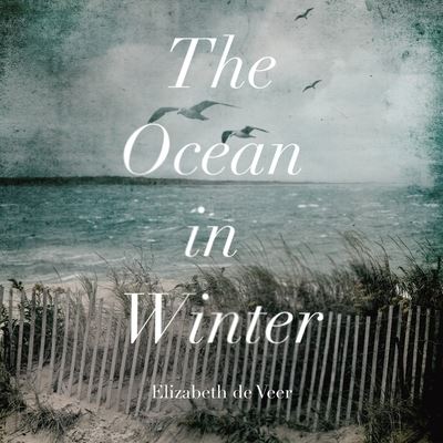 Cover for Elizabeth De Veer · The Ocean in Winter Lib/E (CD) (2021)