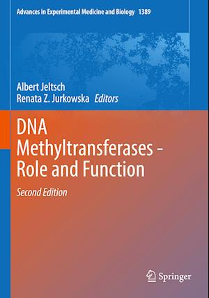 Cover for Albert Jeltsch · DNA Methyltransferases - Role and Function (Book) (2023)