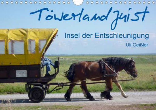 Cover for Geißler · Töwerland Juist (Wandkalender 2 (Book)