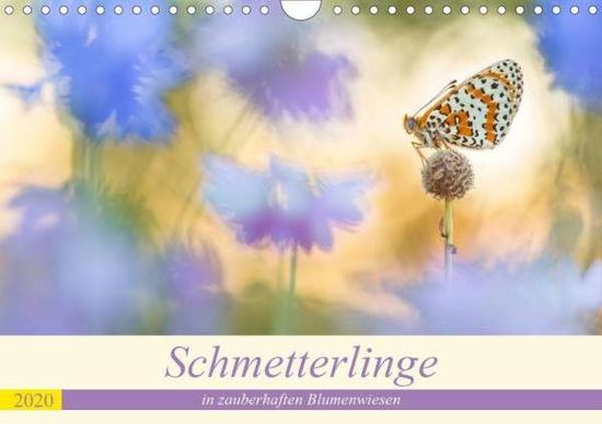 Cover for Petzl · Schmetterlinge in zauberhaften Bl (Book)