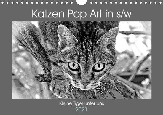 Katzen Pop Art in s/w - Kleine T - Bönner - Books -  - 9783672009564 - 