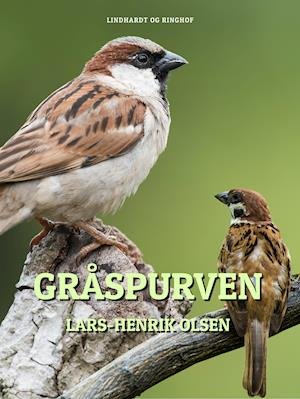Cover for Lars-Henrik Olsen · Gråspurven (Heftet bok) [1. utgave] (2019)