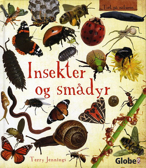 Cover for Terry Jennings · Tæt på naturen: Insekter og smådyr (Bound Book) [1st edition] [Indbundet] (2010)