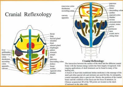 Jan van Baarle · Cranial Reflexology -- A4 (Plakat) (2007)