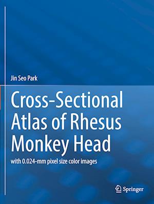 Cover for Jin Seo Park · Cross-Sectional Atlas of Rhesus Monkey Head: with 0.024-mm pixel size color images (Paperback Book) [2022 edition] (2023)