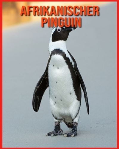 Cover for Annie Nichols · Afrikanischer Pinguin (Paperback Book) (2021)