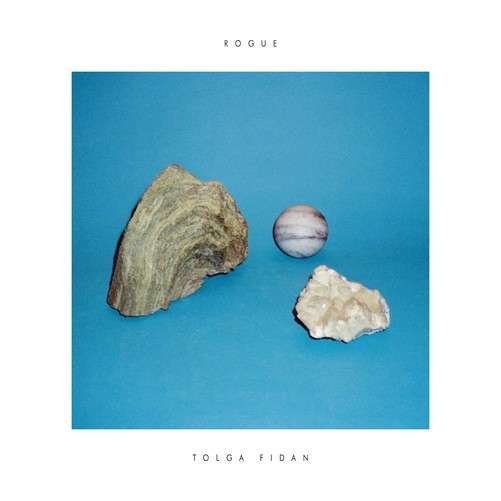 Cover for Tolga Fidan · Rogue (LP) (2012)