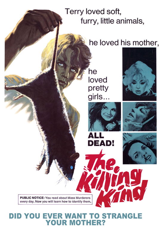 Cover for Feature Film · The Killing Kind (DVD) (2023)