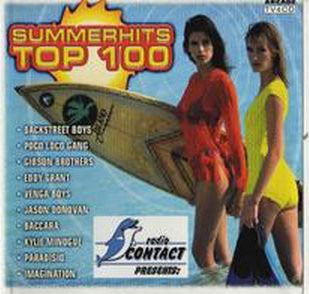 Cover for Summer Hits Top 100 · Summerhits Top 100 (CD)