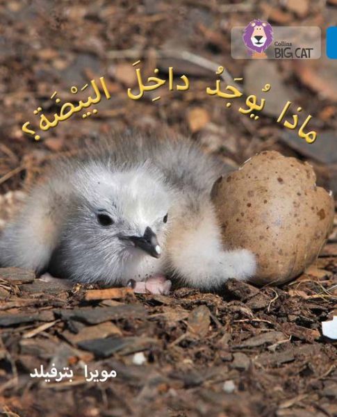 Cover for Moira Butterfield · What's in the Egg?: Level 4 - Collins Big Cat Arabic Reading Programme (Paperback Book) (2016)