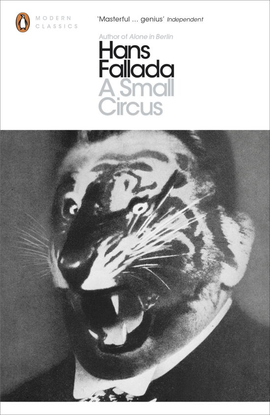 A Small Circus - Penguin Modern Classics - Hans Fallada - Bøger - Penguin Books Ltd - 9780141196565 - 28. marts 2013