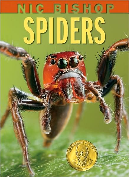 Nic Bishop Spiders (Sibert Honor Book) - Nic Bishop - Books - Scholastic Nonfiction - 9780439877565 - September 1, 2007