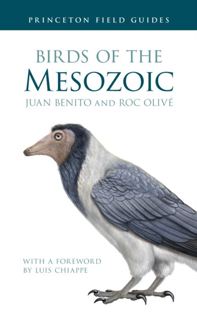 Birds of the Mesozoic - Princeton Field Guides - Juan Benito - Kirjat - Princeton University Press - 9780691266565 - tiistai 5. marraskuuta 2024