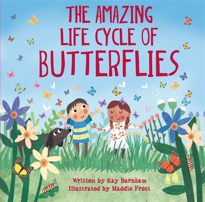 Cover for Kay Barnham · Look and Wonder: The Amazing Life Cycle of Butterflies - Look and Wonder (Paperback Book) (2019)