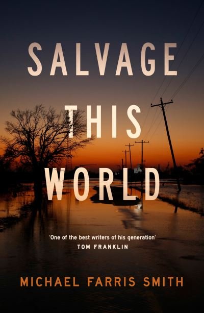 Cover for Michael Farris Smith · Salvage This World (Pocketbok) (2023)