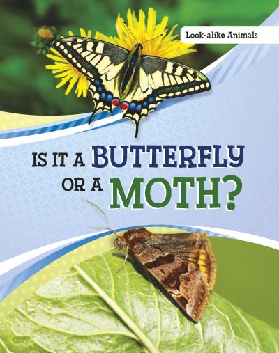 Cover for Susan B. Katz · Is It a Butterfly or a Moth? - Look-Alike Animals (Taschenbuch) (2023)