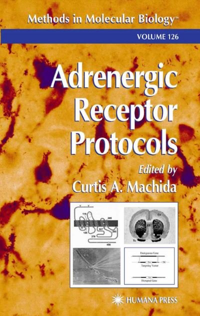 Cover for Curtis a Machida · Adrenergic Receptor Protocols - Methods in Molecular Biology (Paperback Book) [Softcover reprint of the original 1st ed. 2000 edition] (2013)