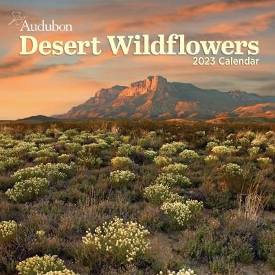 Cover for Workman Publishing · Audubon Desert Wildflowers Wall Calendar 2023: A Visual Delight for Nature Lovers and Gardeners Alike (Kalender) (2022)