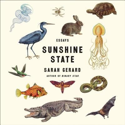 Sunshine State - Sarah Gerard - Music - HARPERAUDIO - 9781538412565 - April 11, 2017