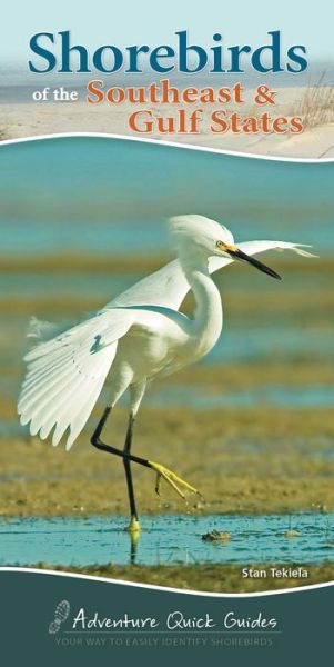 Cover for Stan Tekiela · Shorebirds of the Southeast &amp; Gulf States: Your Way to Easily Identify Shorebirds - Adventure Quick Guides (Spiral Book) (2017)