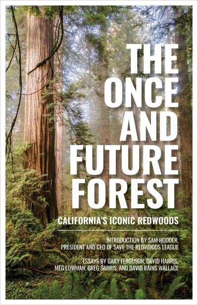 Cover for Save the Redwoods League · The Once and Future Forest: California's Iconic Redwoods (Inbunden Bok) (2021)