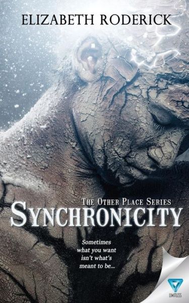 Cover for Elizabeth Roderick · Synchronicity (Taschenbuch) (2017)