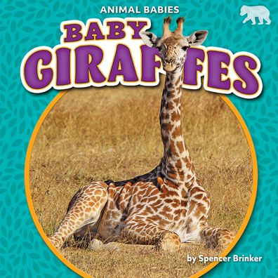 Cover for Spencer Brinker · Baby Giraffes (Hardcover Book) (2020)