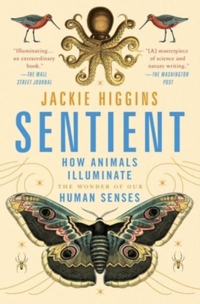 Cover for Jackie Higgins · Sentient: How Animals Illuminate the Wonder of Our Human Senses (Taschenbuch) (2022)