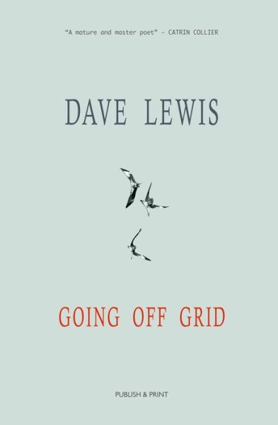 Cover for Dave Lewis · Going Off Grid (Pocketbok) (2018)