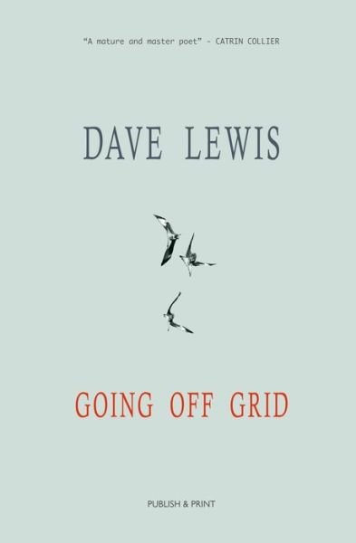Cover for Dave Lewis · Going Off Grid (Paperback Book) (2018)