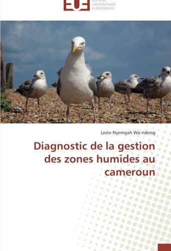 Cover for Leste Nyemgah Wo-ndong · Diagnostic De La Gestion Des Zones Humides Au Cameroun (Paperback Book) [French edition] (2018)