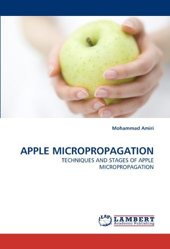 Cover for Mohammad Amiri · Apple Micropropagation: Techniques and Stages of Apple Micropropagation (Paperback Book) (2010)