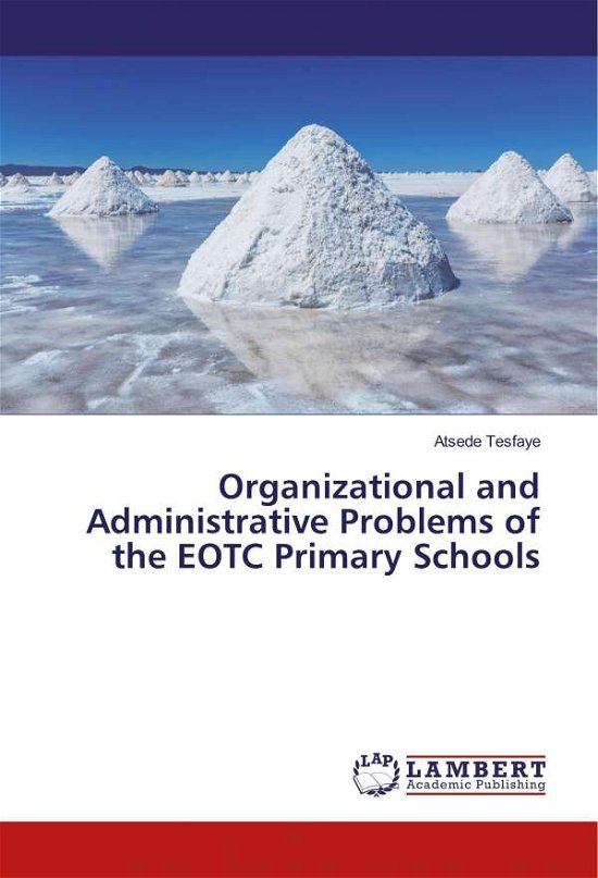 Cover for Tesfaye · Organizational and Administrati (Buch)