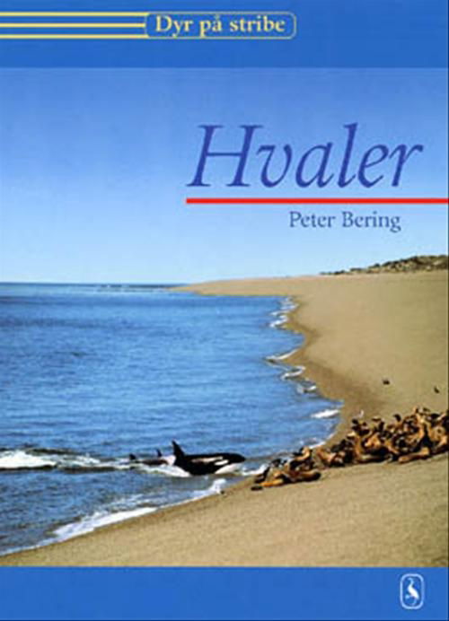 Cover for Peter Bering · Dyr på stribe: Hvaler (Sewn Spine Book) [1. Painos] (2001)