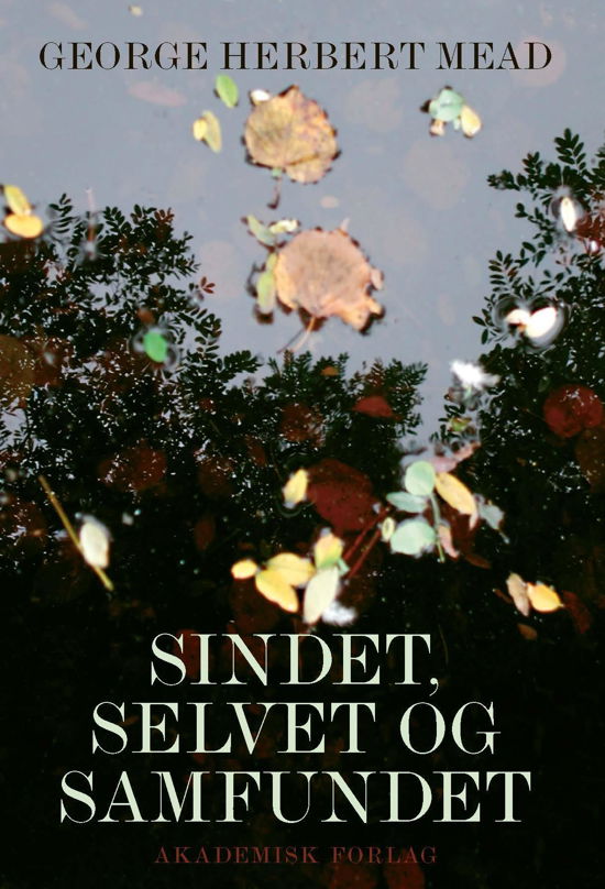 Cover for George Herbert Mead · Sindet, selvet og samfundet (Poketbok) [2:a utgåva] (2017)