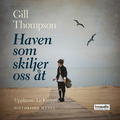 Cover for Gill Thompson · Haven som skiljer oss åt (Audiobook (MP3)) (2021)