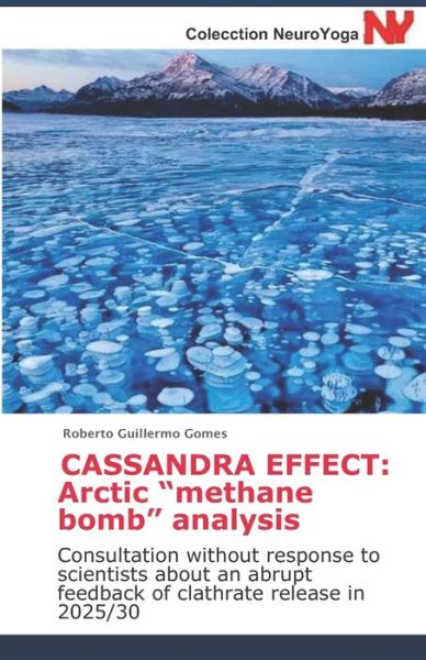 Cover for Roberto Guillermo Gomes · Cassandra Effect (Paperback Book) (2020)