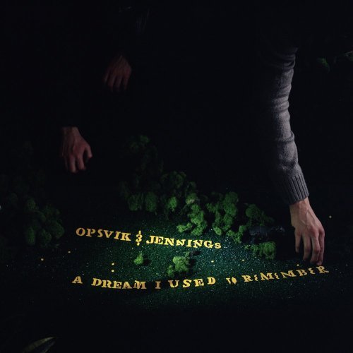 Cover for Opsvik &amp; Jennings · Dream I Used to Remember (CD) (2009)